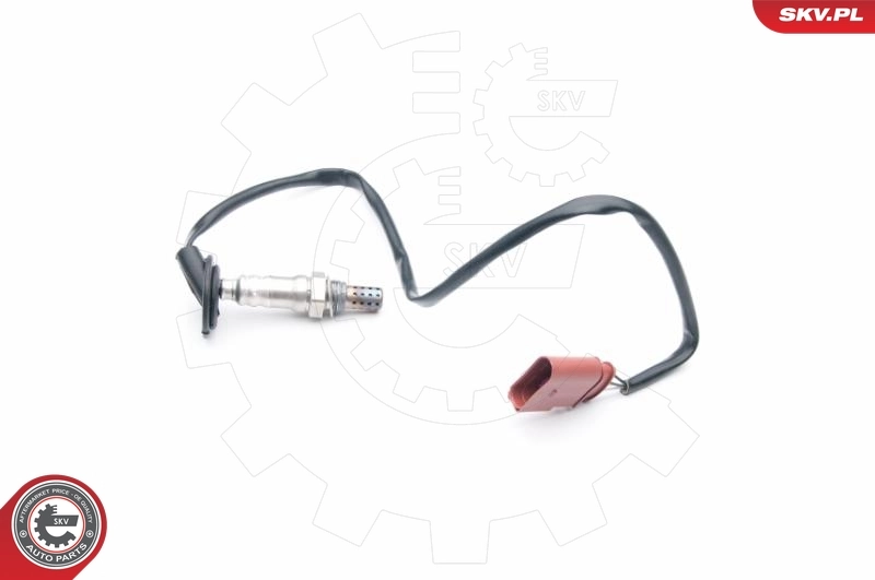 Oxygen Sensor